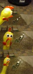 834