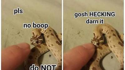 4229
