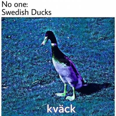 9892