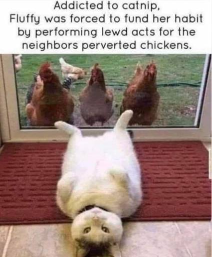 13626