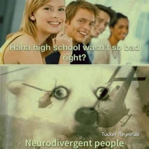 13633