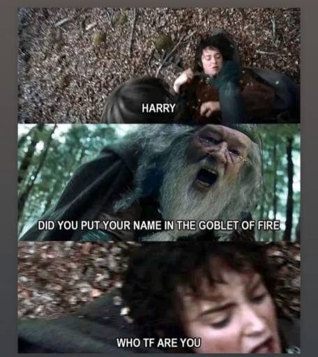 13645