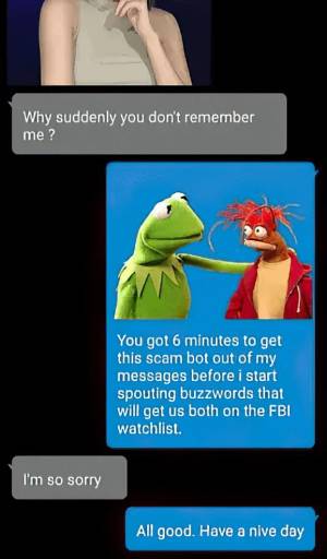 13646