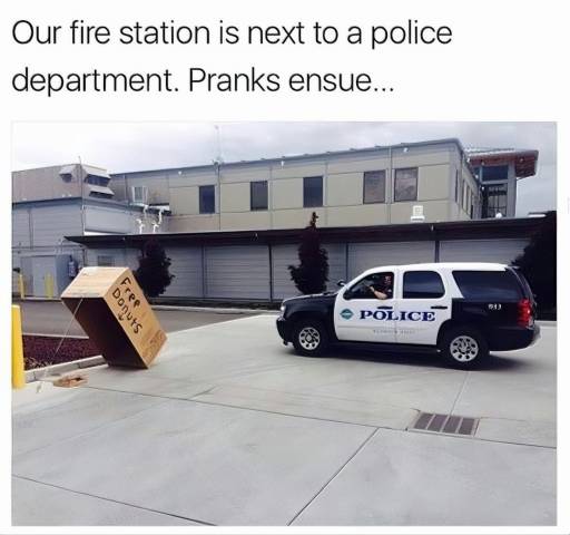 13651