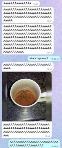 13653