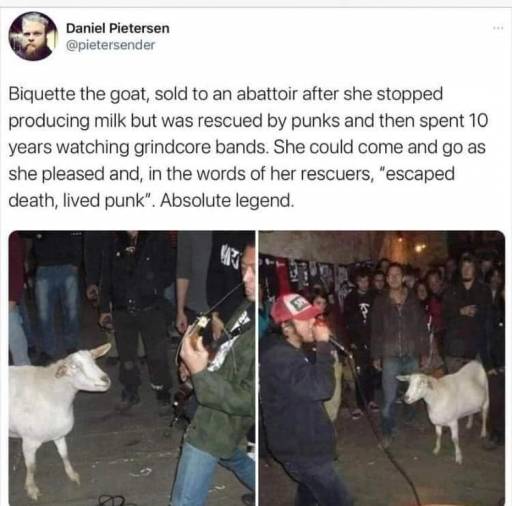 13791