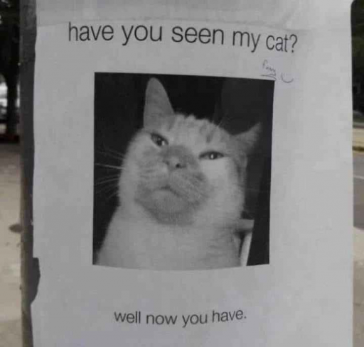 14132