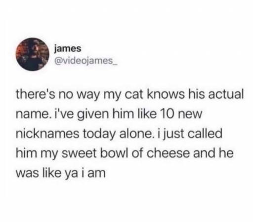 14826