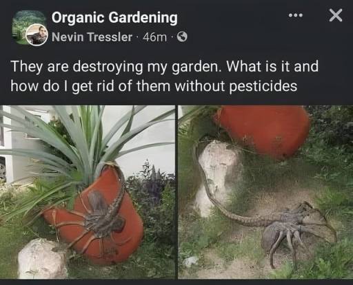 14842