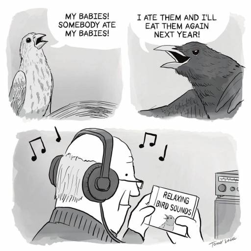 14877