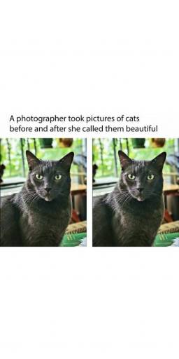 14890