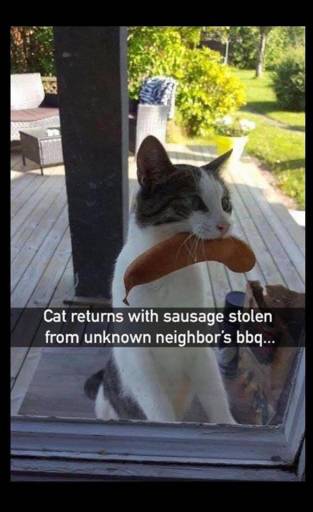14901