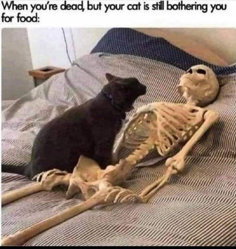 14902