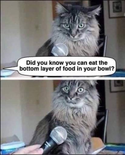 14996
