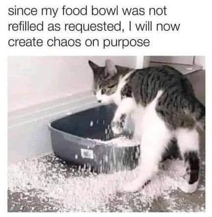 15084