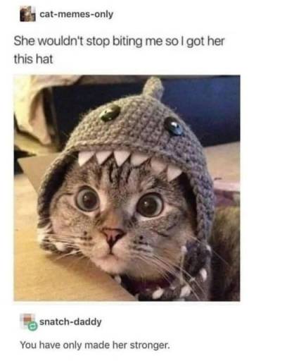 15085