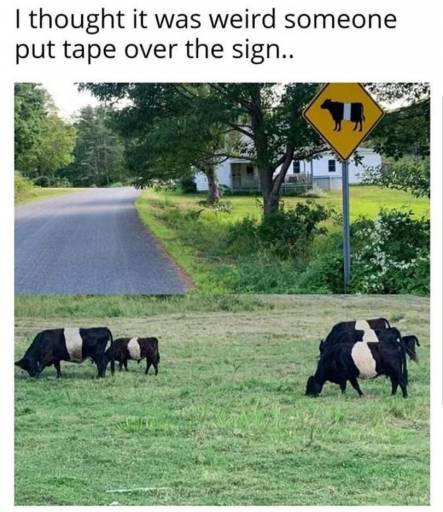 15088
