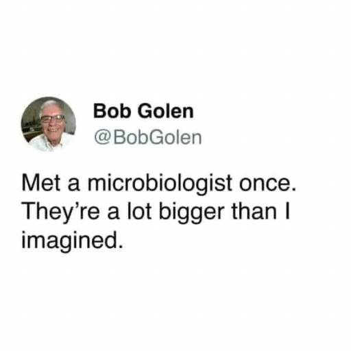 15155
