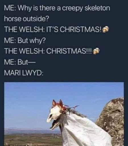 15163