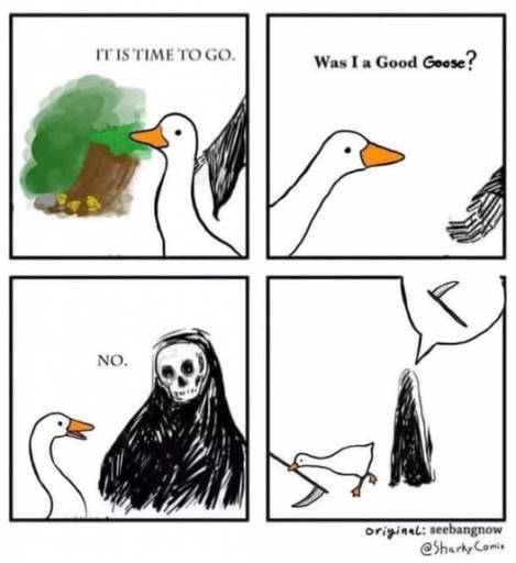 15197
