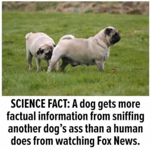 15215
