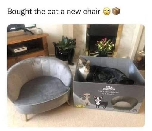 15224