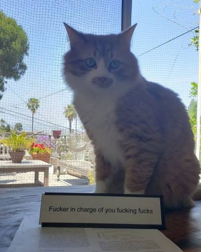 15225