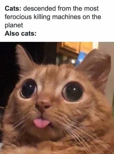 15226