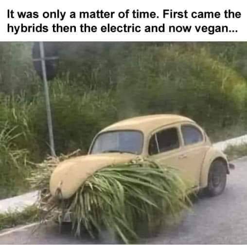 15229