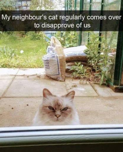 15234