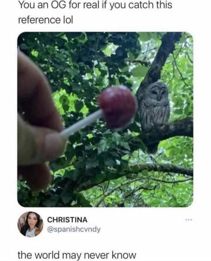 15270