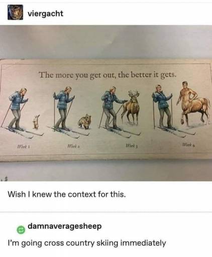 15306