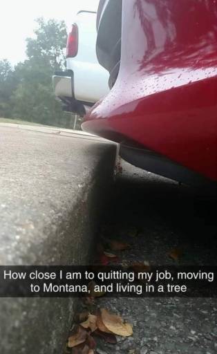 15339