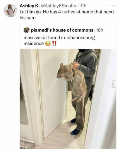 15350