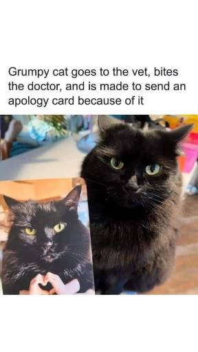15404