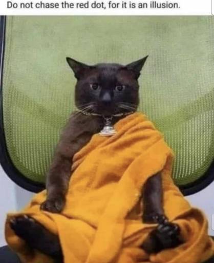15429