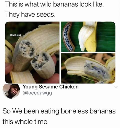 15449