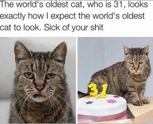 15465