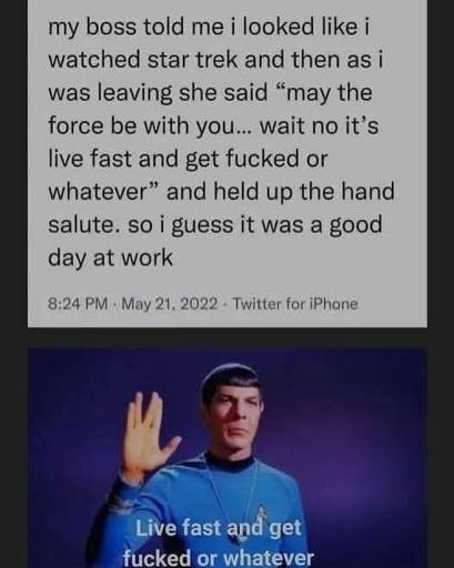 15481