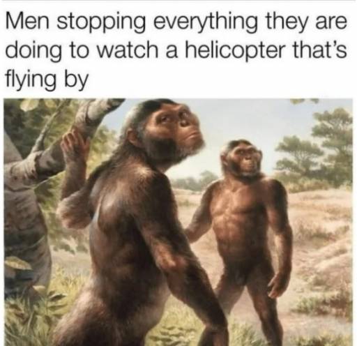 15503