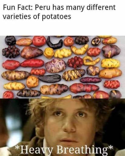 15517