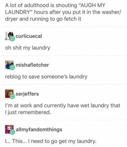 15528