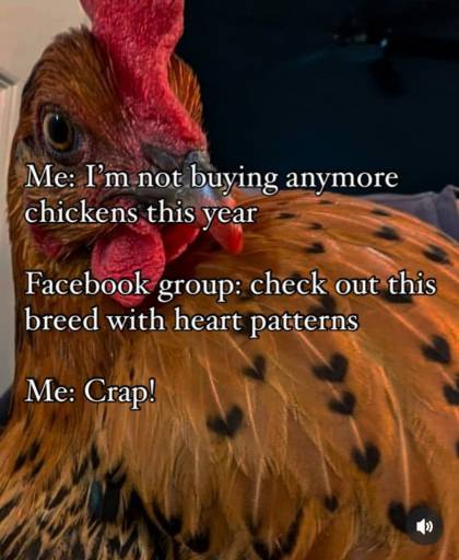 15552