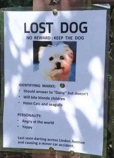 15585