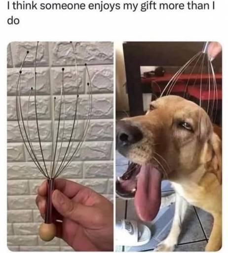 15591