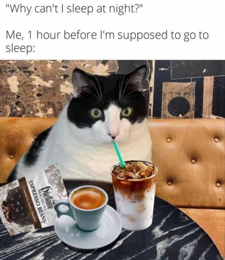 15599