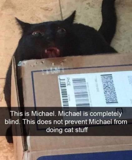 15614