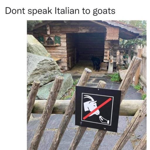 15637