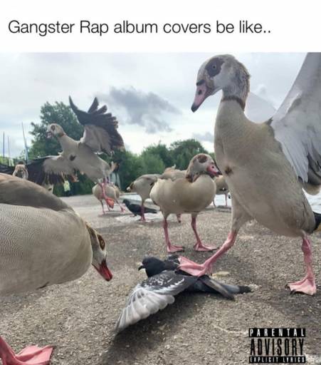 15673