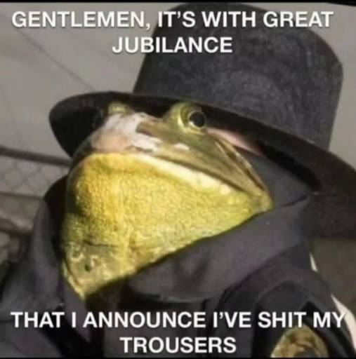 15691